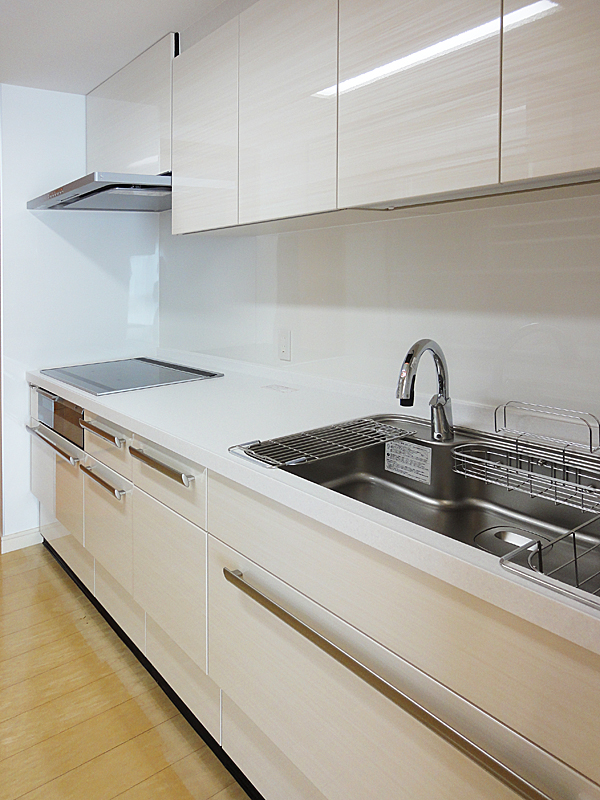 優れたデザイン性と最新機能―お掃除ラクラクなキッチン 優れたデザイン性と最新機能―お掃除ラクラクなキッチン